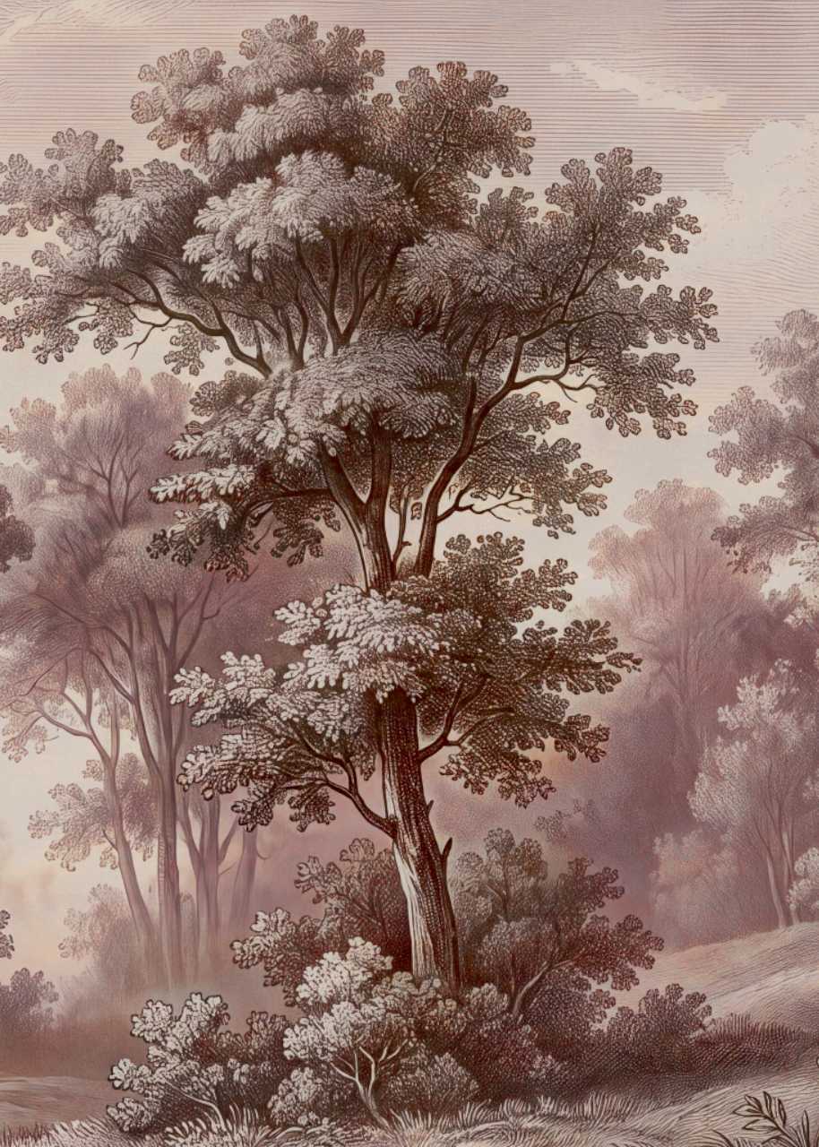 Behang Sepia Boslandschap Roze